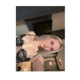 trans girl foxyfox 6589396