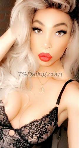 trans girl GabiSexy 7530803