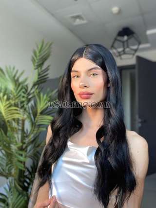 trans girl GabiiXl 3171077 trans girl GabiiXl 3171077