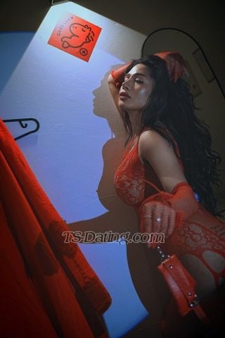 trans girl Gabriella94 0873353 trans girl Gabriella94 0873353