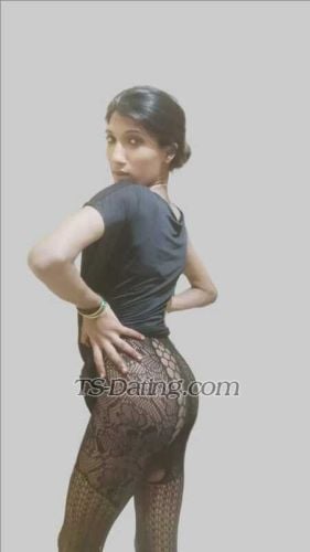 trans girl Gayutrans 8195260 trans girl Gayutrans 8195260