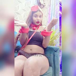 trans girl Geetanjali 8609252 trans girl Geetanjali 8609252