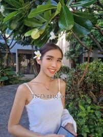 Gegee Gegee1995 Gegee1995 Bangkok Transex Hi my name is gegee 23years old 173cm 50kg
. I hope you like my profile. friendly, cute and playful. I hope you like my profile
I am from Thailand and love learning new experience 
Please love and be kind to me 🙏🏻😁❤️🌸
  WhatsApp :. +66986975981 
  telegram.  :  +66986975981. 🤙🏽🐰