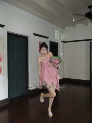 trans girl Geniegiselle 8051823 trans girl Geniegiselle 8051823