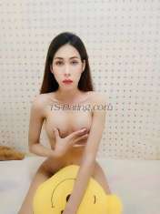 Getzy Getzy Getzy Koh samui Transex My Name  Getzy
I'm a ladyboy can top and bottom 
I
love travelling and meeting new people.
I live in koh
samui chaweng 
Line ID   getsmile2015
WhatsApp
+66895893554
Instagram  get_napatchanan
 Who come to
Thailand and want to find new friends I can go and enjoy you
throughout the trip I can be friends, eat, drink, party
throughout your stay in Thailand. 
 I can move to
another country with who love me and really want me