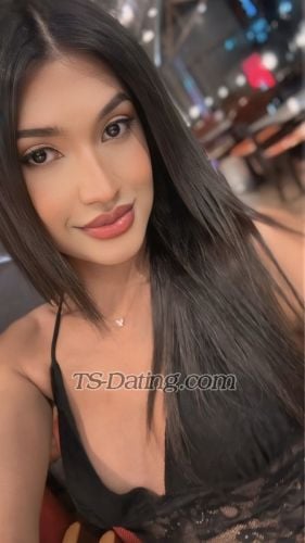 Shemale-Gina15-9698757 