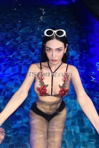 trans girl Gina3001 3218747 trans girl Gina3001 3218747