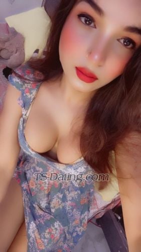 trans girl Ginie 8839504 trans girl Ginie 8839504