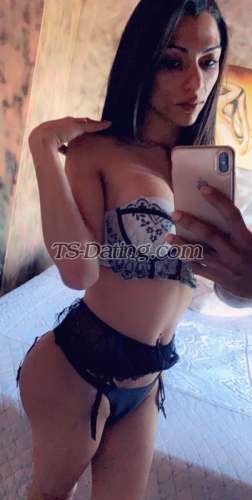trans girl Giulia 4454652 trans girl Giulia 4454652