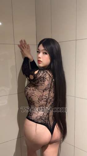 trans girl Chubbymayumi 2387948 trans girl Chubbymayumi 2387948