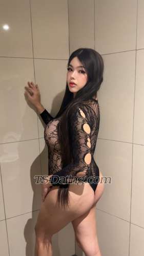 trans girl Chubbymayumi 2388031 trans girl Chubbymayumi 2388031