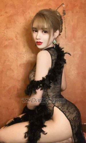 trans girl Grace88888888 2612485 trans girl Grace88888888 2612485