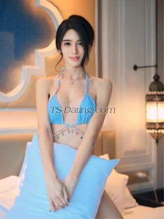 trans girl Grace88888888 3344166 trans girl Grace88888888 3344166