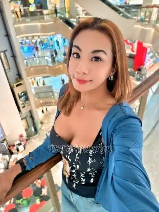 Shemale Gracez69 6942138 Shemale Gracez69 6942138