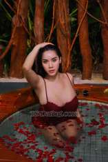 Graciela gracia gracia Jakarta Transex Hii guys i am ready service i have seven inch almost
Pls join with him💋
+6285219526466
 My
onlyfans.com/babygracia16