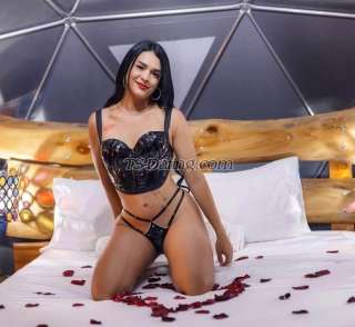 trans girl HELENTR 6764445 trans girl HELENTR 6764445