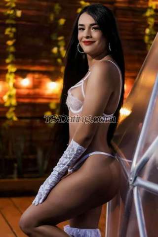 trans girl HELENTR 6764467 trans girl HELENTR 6764467