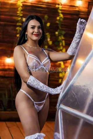 trans girl HELENTR 6764665 trans girl HELENTR 6764665