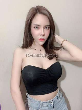 trans girl HIDY19 5931153 trans girl HIDY19 5931153
