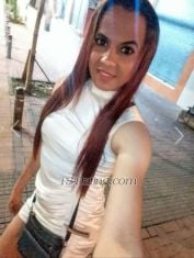 Haitiana Haitiana Haitiana Orellana Transex Bonjour, comment allez-vous ? Je suis une fille trans et je suis là pour vous faire plaisir. Posez-moi vos questions et j'y répondrai.