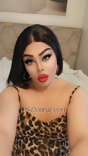 trans girl Hajarhajar 5288887 trans girl Hajarhajar 5288887