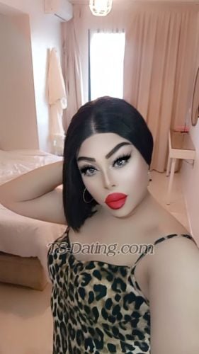 trans girl Hajarhajar 5549290 trans girl Hajarhajar 5549290