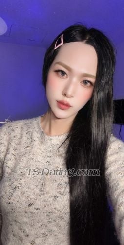 transsexual escort / Han Han / Vietnam