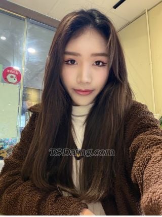 trans girl Happytogather 3506159 trans girl Happytogather 3506159