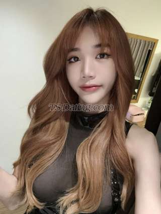 trans girl Happytogather 3938570 trans girl Happytogather 3938570
