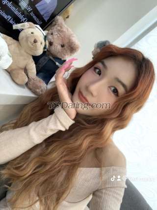 trans girl Happytogather 6339594 trans girl Happytogather 6339594