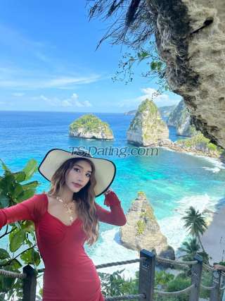trans girl Happytogather 8338761 trans girl Happytogather 8338761