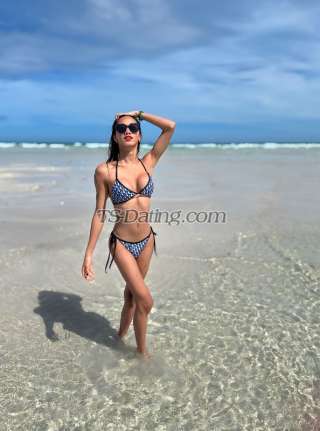 trans girl HardG 6771336 trans girl HardG 6771336