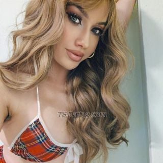 trans girl HeidiHadid 0863758 trans girl HeidiHadid 0863758