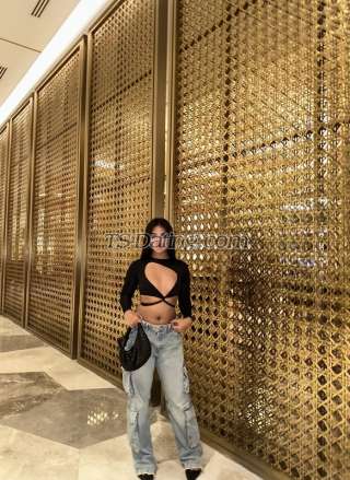 trans girl Hermeshh 2103645 trans girl Hermeshh 2103645