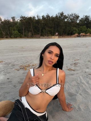 trans girl HollyAmber 4438368 trans girl HollyAmber 4438368