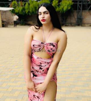 trans girl Honeybaby1 1435329 trans girl Honeybaby1 1435329