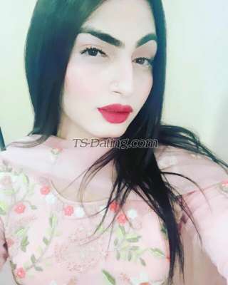 trans girl Honeybaby1 6204910 trans girl Honeybaby1 6204910