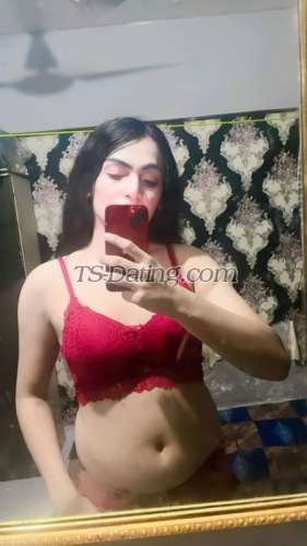 trans girl Honeybaby1 7247257 trans girl Honeybaby1 7247257