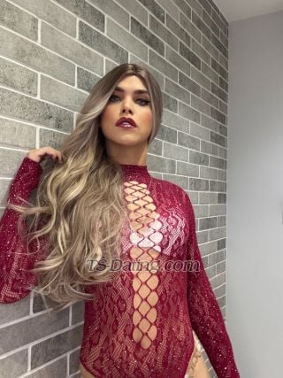 Shemale-HotBlondXXL-0754219 