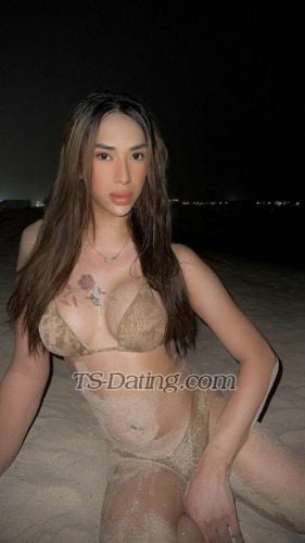 trans girl HotCassie 5801719 trans girl HotCassie 5801719