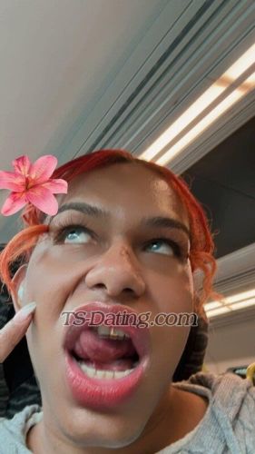 trans girl Hotfrances 4493875 trans girl Hotfrances 4493875