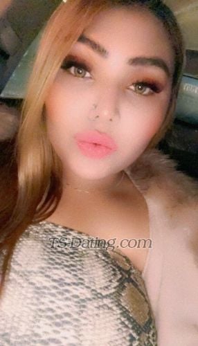 trans girl HottNancy 3828520 trans girl HottNancy 3828520