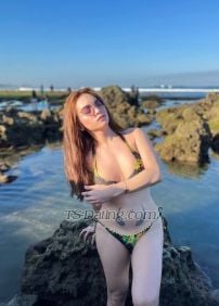 Athena Hottest69 Hottest69 Manila Transex Ciao a tutti, è passato molto tempo. Eccomi di nuovo qui. Sono Athena, il viso angelico ma le performance hardcore. La trans più attesa qui in città. Athena è pronta a realizzare la tua fantasia. Allora, cosa aspetti? Contattami... Non vedo l'ora di giocare insieme ai tuoi desideri. Sono VERSATILE, sia sopra che sotto. 📳🔛 0️⃣9️⃣7️⃣6️⃣2️⃣2️⃣8️⃣3️⃣6️ ⃣0️⃣2️⃣ ❌⭕❌⭕❗❗❗