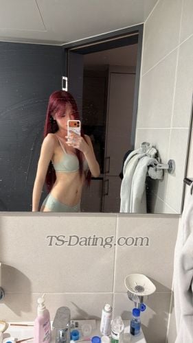 trans girl Hshshsb22 3285316 trans girl Hshshsb22 3285316