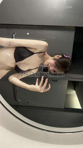 trans girl Hshshsb22 6660917 trans girl Hshshsb22 6660917