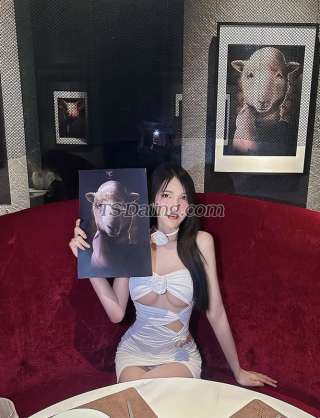 trans girl Hyunarcha 3727770