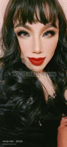 transsexuelle escort / haiying / Hongkong