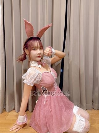 Shemale-ISMEcute-4040707 