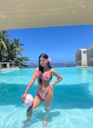 trans girl IamPrescilla 5205435 trans girl IamPrescilla 5205435