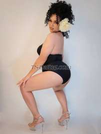 Itim Yummy Itim Yummy Bangkok Transex Dear anyone who wants a sexy, curvy girl it’s me
I’m Itim (The meaning is ice cream) 
yes,of course I have a lovely ice cream if you want to try please read below 
Feel free to text me 
LINE : mmiinn1998
Whats App : +66820523816
WeChat : mmiinn11426
Telegram : @mmiinn12
Please text me in advance before meeting